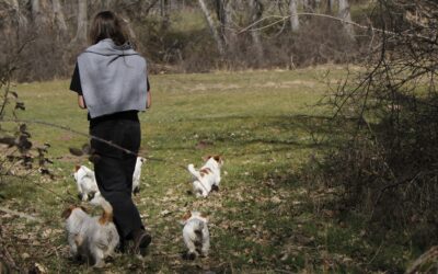 ¿Qué es un etólogo y cuándo lo necesitaría mi perro?
